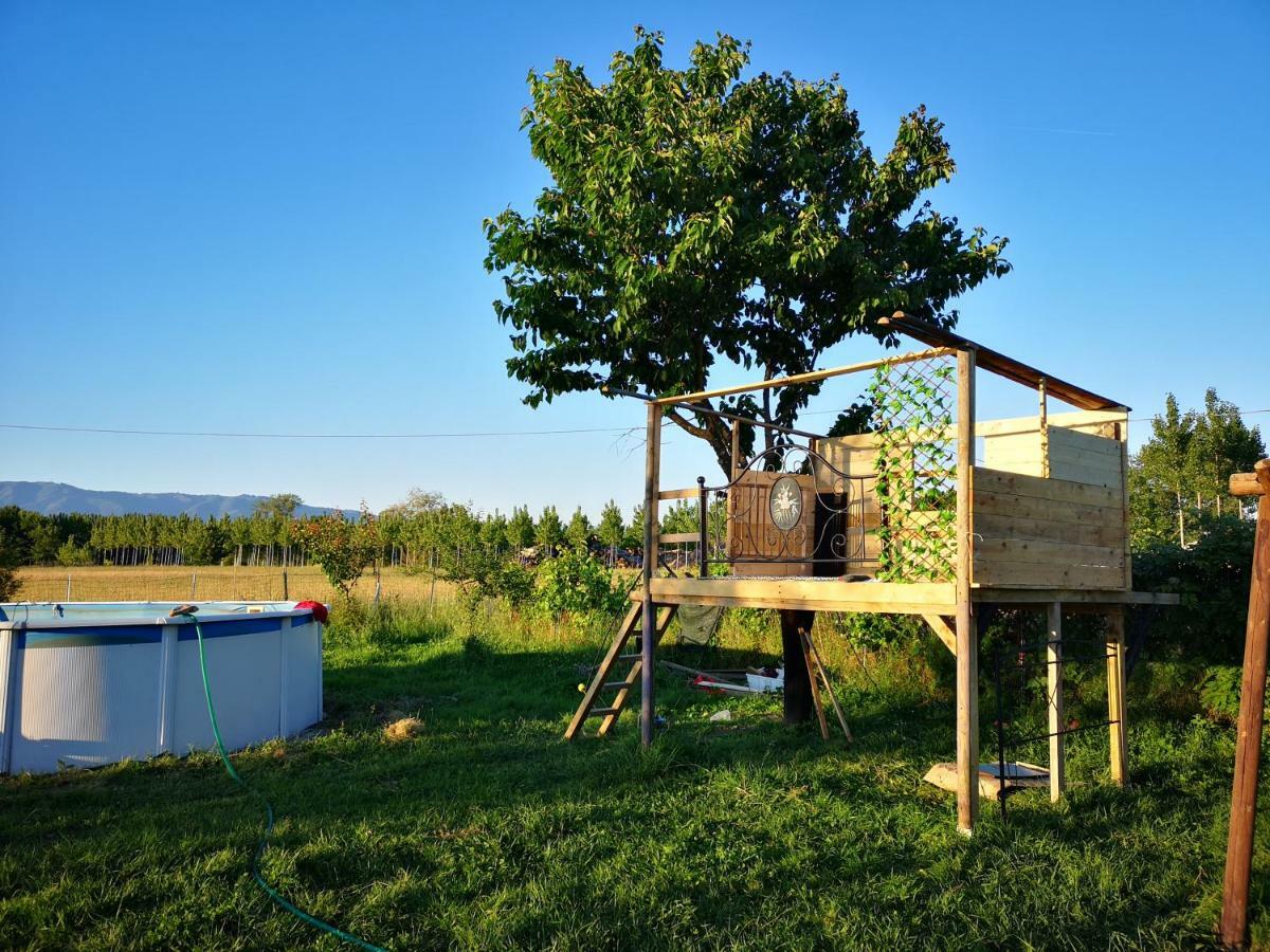Residence Villa Ungaretti Lucca Exteriér fotografie
